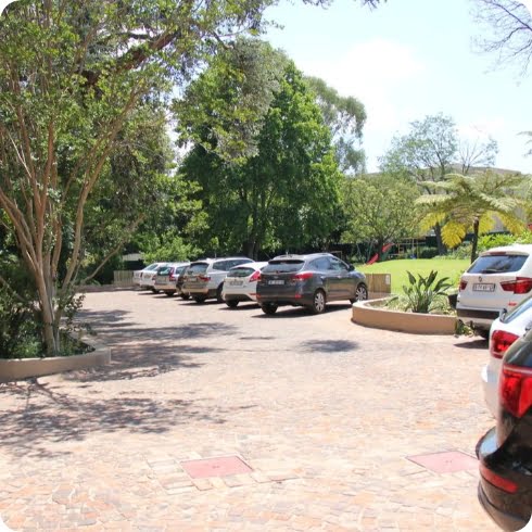 Secure, tree-lined parking area at Zogs Swim School with ample space for parents and visitors.